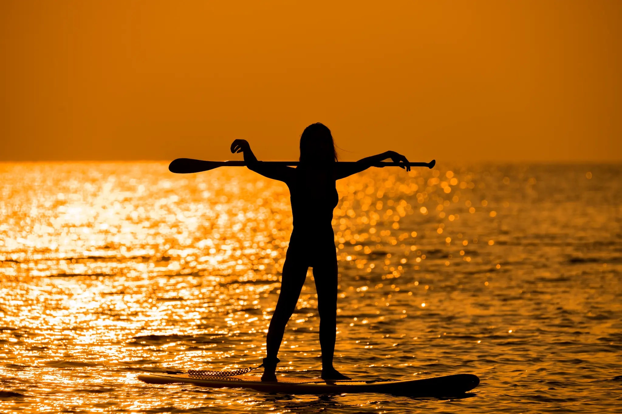 Paddle Board Nedir? Paddle Board Hakkında Bilmeniz Gereken Her Şey