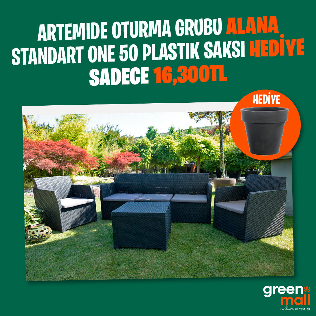 Artemide Oturma Grubunda Sürpriz Hediyeler (Standart One Plastik Saksı Hediyeli)