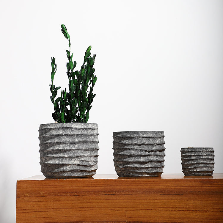 Nerius Saksı 2'li Set