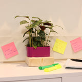 Manyetik Metal Plaka 52x14 Cm