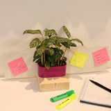 Manyetik Metal Plaka 52x14 Cm