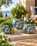 Amalfi 3'lü metal saksı seti XS+S+M, Amalfi desenli alüminyum enamel kaplama dekoratif saksılar