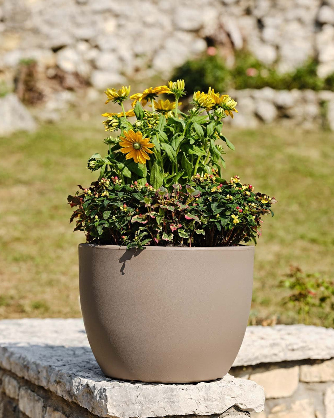 Ares 60 Plastik Saksı Kapuçino