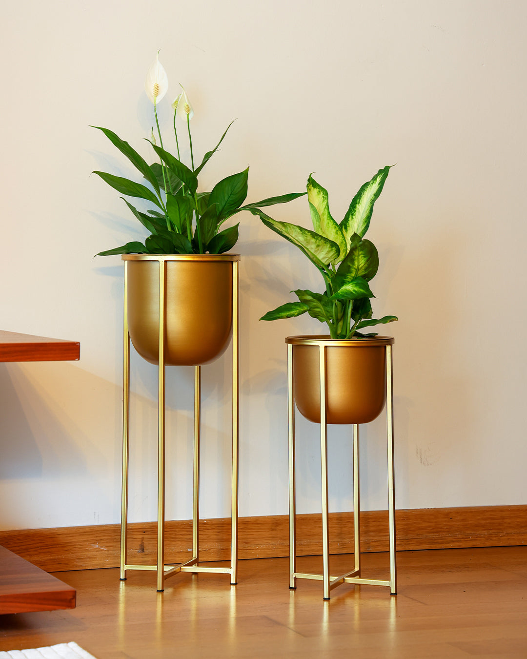 Athena Ayaklı Metal Saksı Büyük Boy