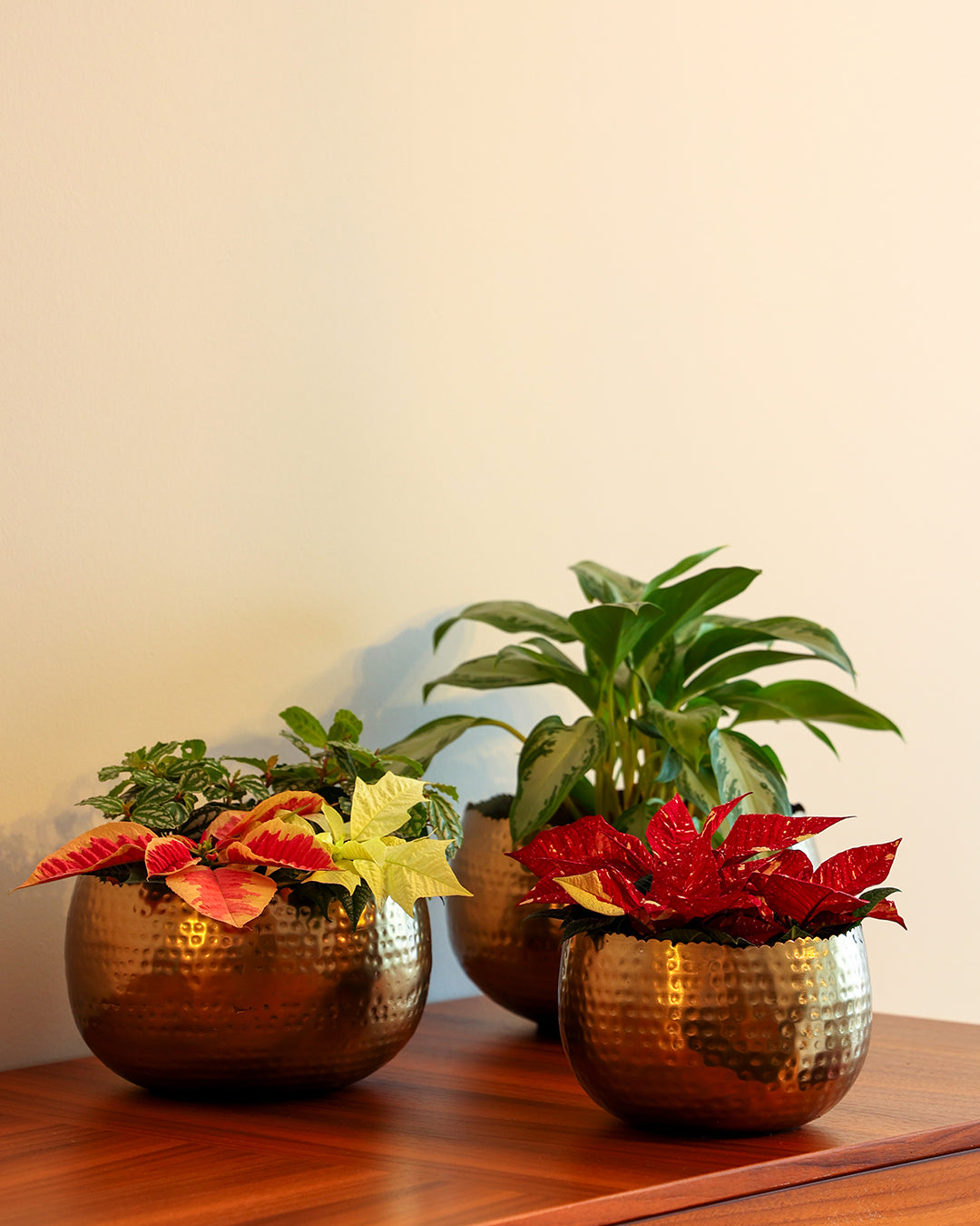 Aurea Metal Saksı Büyük Boy Sarı