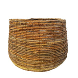 Avalon Hasır Saksı Orta Boy