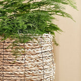 Avalon Hasır Saksı Orta Boy