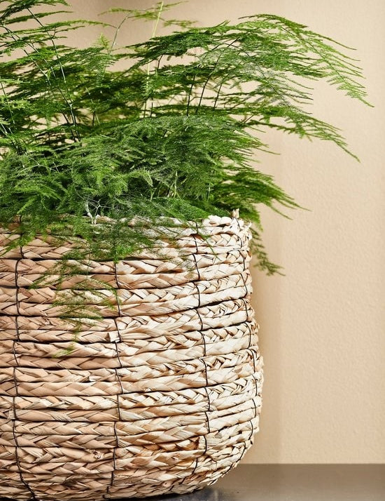 Avalon Hasır Saksı Orta Boy