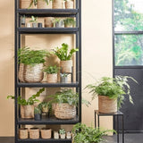 Avalon Hasır Saksı Orta Boy