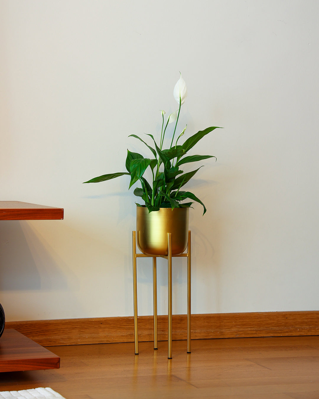 Ayaklı Metal Saksı Küçük Boy