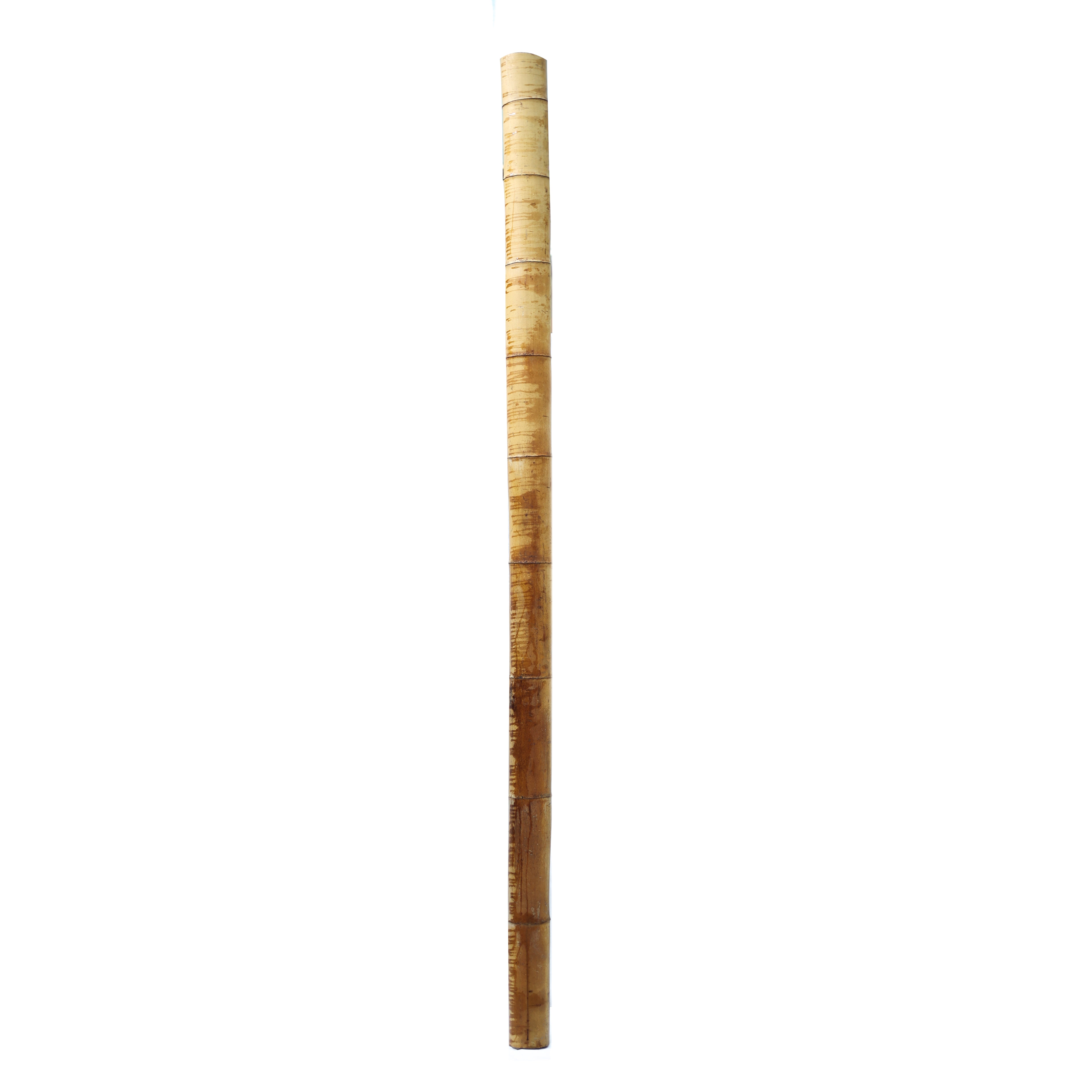 Dekoratif Bambu XL