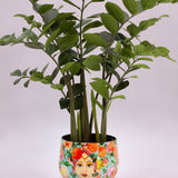 Blooming Namaste Saksı S