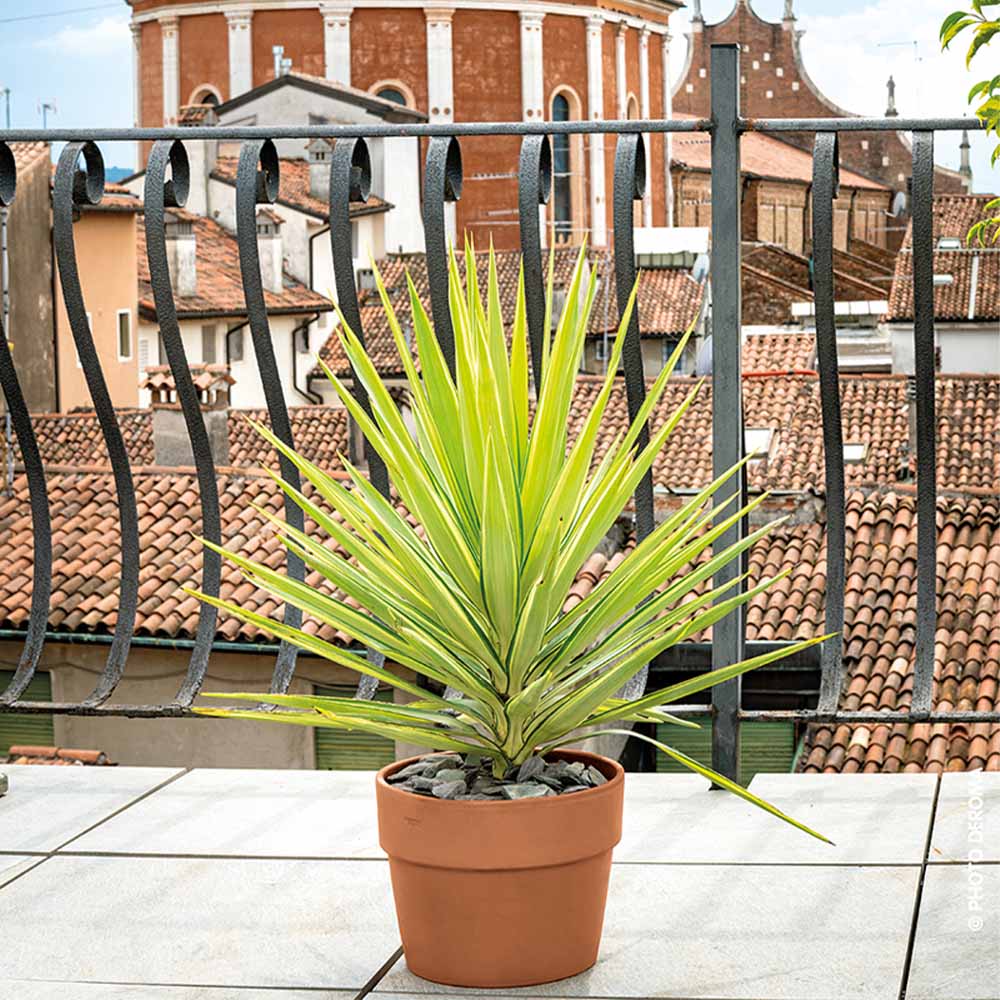 Cachepot Perfetto 13 cm Toprak Saksı