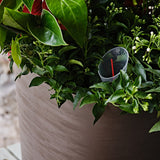 Capri 38 Plastik Akıllı Saksı Bej