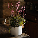 Capri 38 Plastik Akıllı Saksı Beyaz