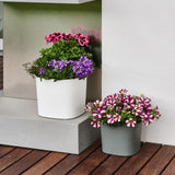 Capri 38 Plastik Akıllı Saksı Beyaz