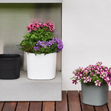 Capri 38 Plastik Akıllı Saksı Beyaz