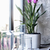 Capri 38 Plastik Akıllı Saksı Beyaz