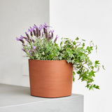 Capri 38 Plastik Akıllı Saksı Kırmızı