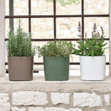 Capri 38 Plastik Akıllı Saksı Kırmızı