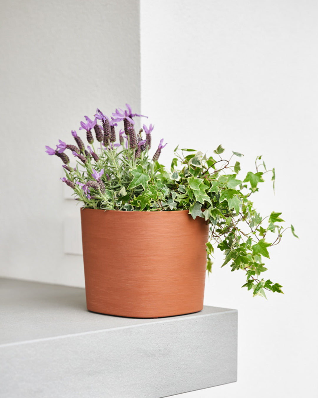 Capri 38 Plastik Akıllı Saksı Siyah