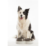 Ciotolotto Büyük Boy Mama ve Su Kabı Kahverengi