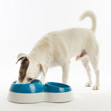 Ciotolotto Büyük Boy Mama ve Su Kabı Kahverengi