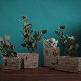 Clota Saksı 1 Kahverengi