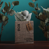 Clota Saksı 3 Kahverengi