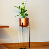 Cruz Metal Ayaklı Saksı Büyük Boy
