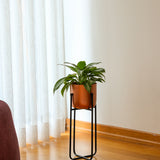 Cruz Metal Ayaklı Saksı Küçük Boy