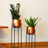 Cruz Metal Ayaklı Saksı Küçük Boy