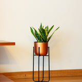 Cruz Metal Ayaklı Saksı Küçük Boy