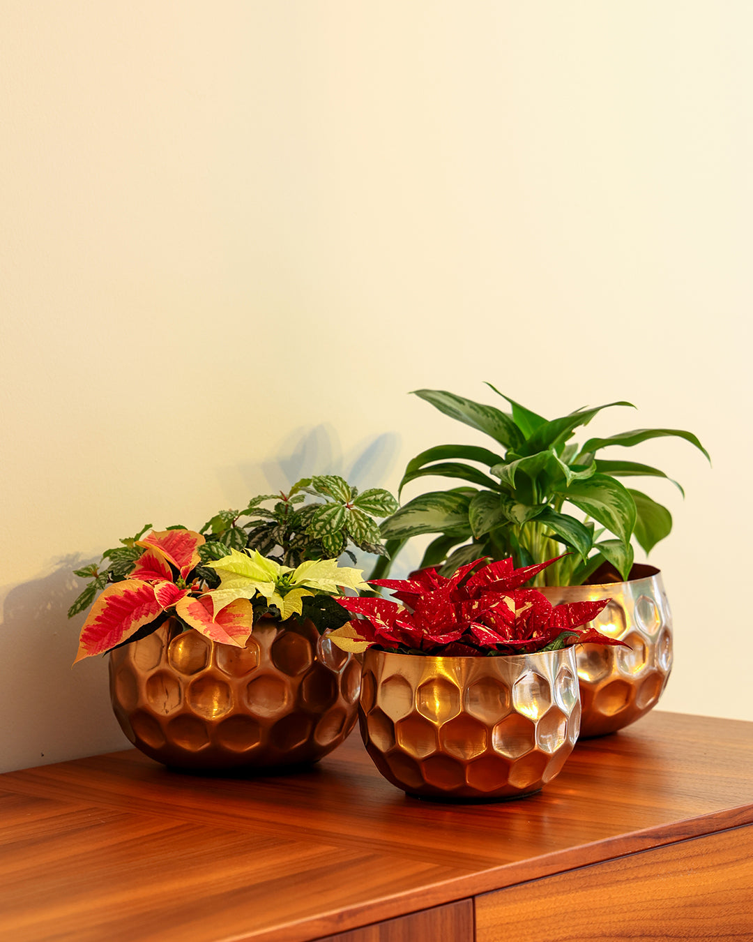 Cuivre Metal Saksı Küçük Boy Bronz