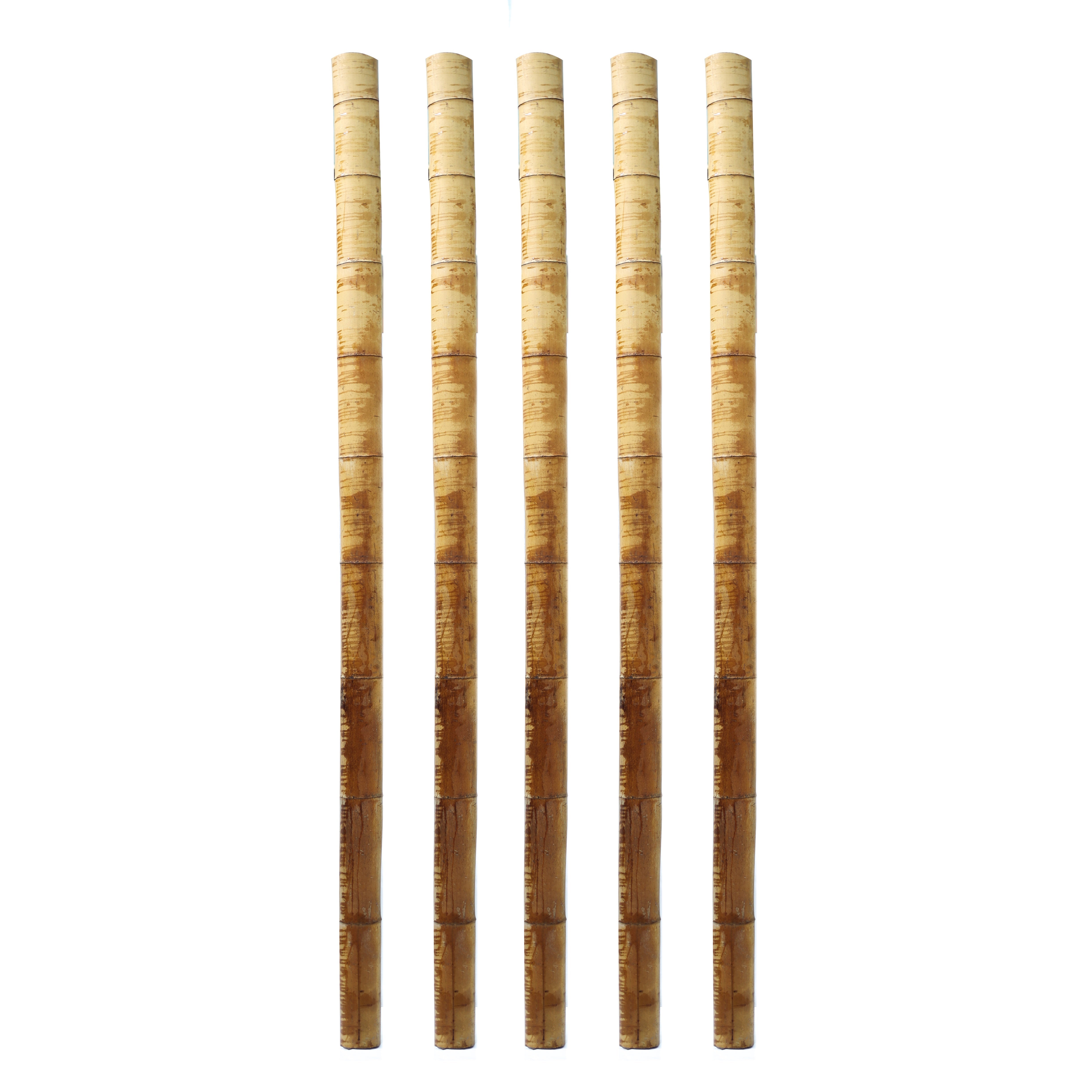 Dekoratif Bambu L
