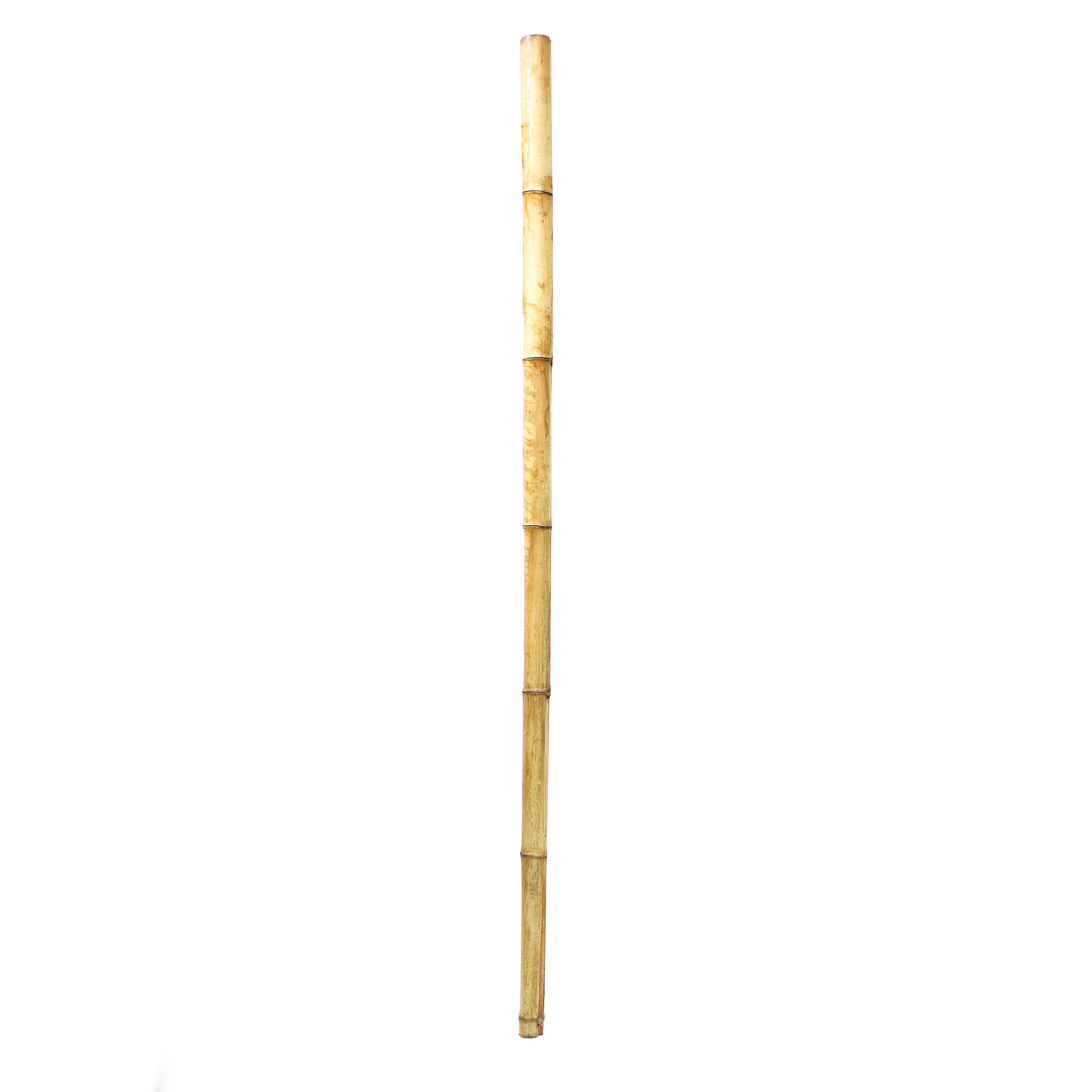 Dekoratif Bambu M