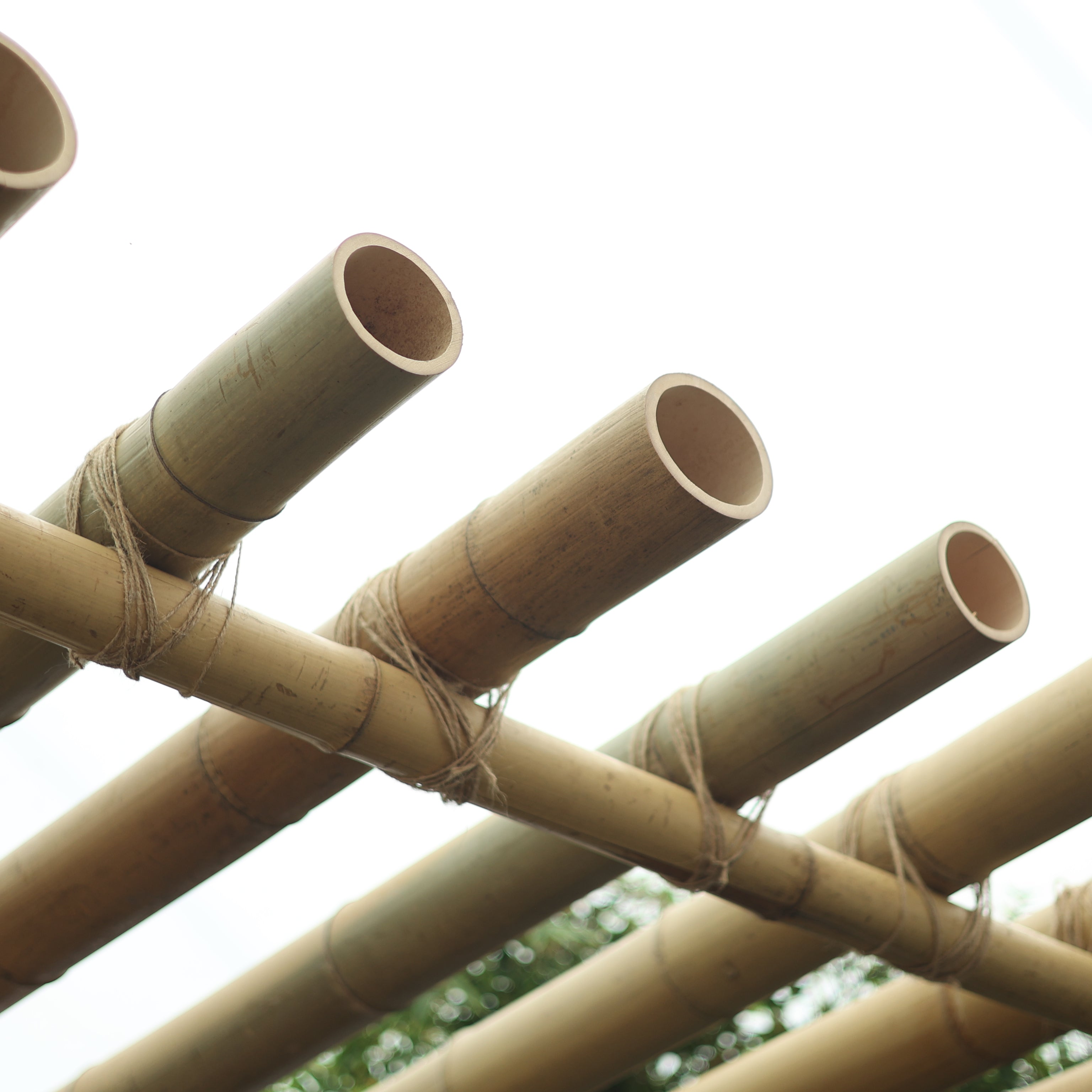 Dekoratif Bambu S