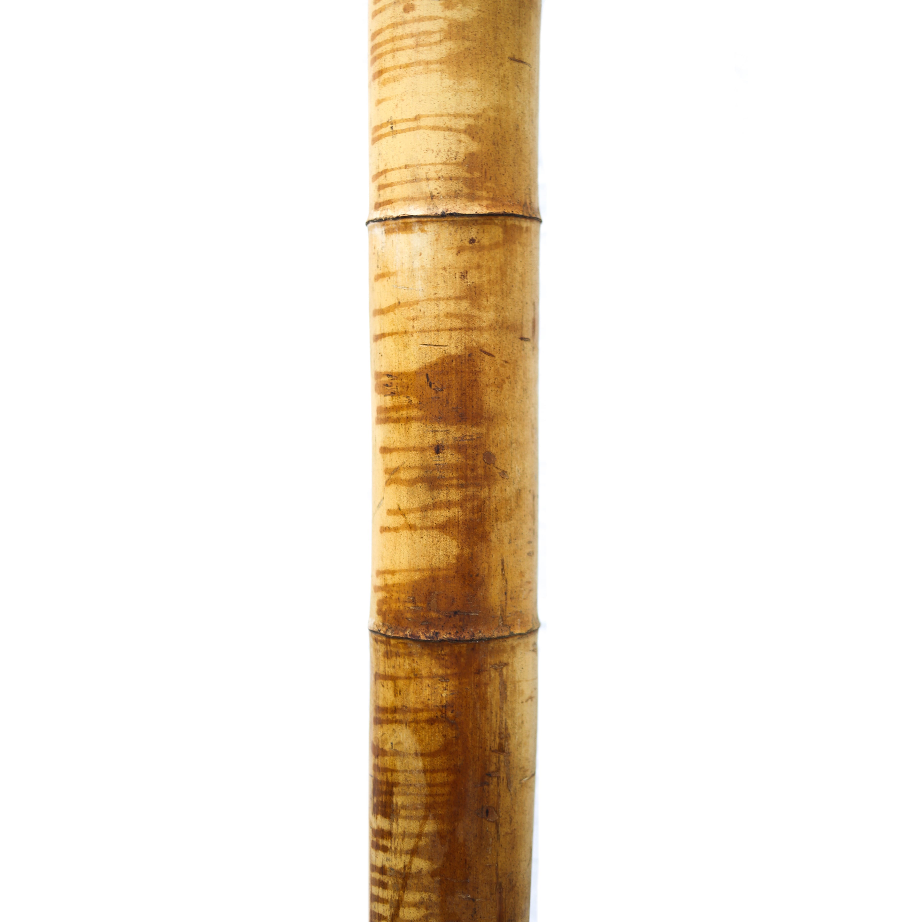 Dekoratif Bambu XL