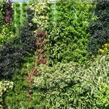 Dikey Bahçe Modülü Yeşil