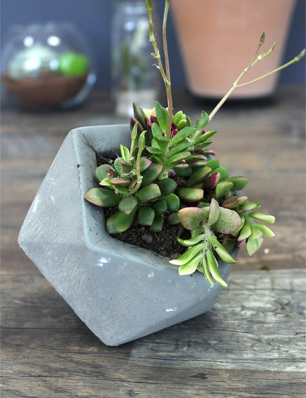 Elmas Beton Saksı 2 Gri