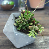 Elmas Beton Saksı 2 Gri