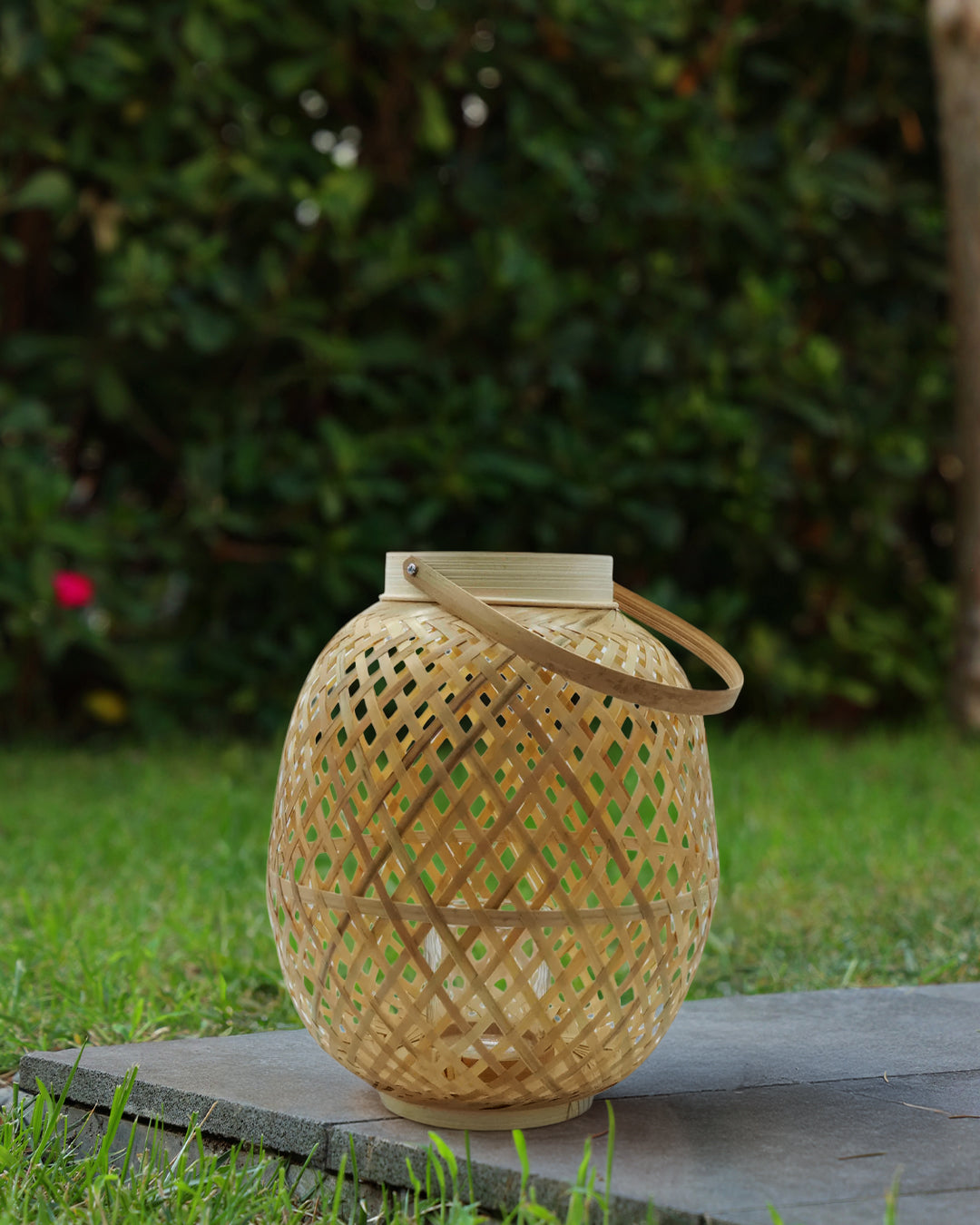 Focus Bambu Mumluk