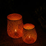 Fortis Bambu Mumluk Büyük Boy