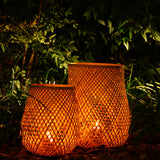 Fortis Bambu Mumluk Büyük Boy