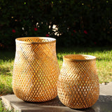 Fortis Bambu Mumluk Küçük Boy