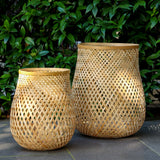 Fortis Bambu Mumluk Küçük Boy