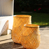 Fortis Bambu Mumluk Küçük Boy