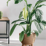 Furu ECO Wood Ayaklı Ahşap Katkılı Plastik Saksı çap 39.5 cm 26 L natürel ahşap kahverengi
