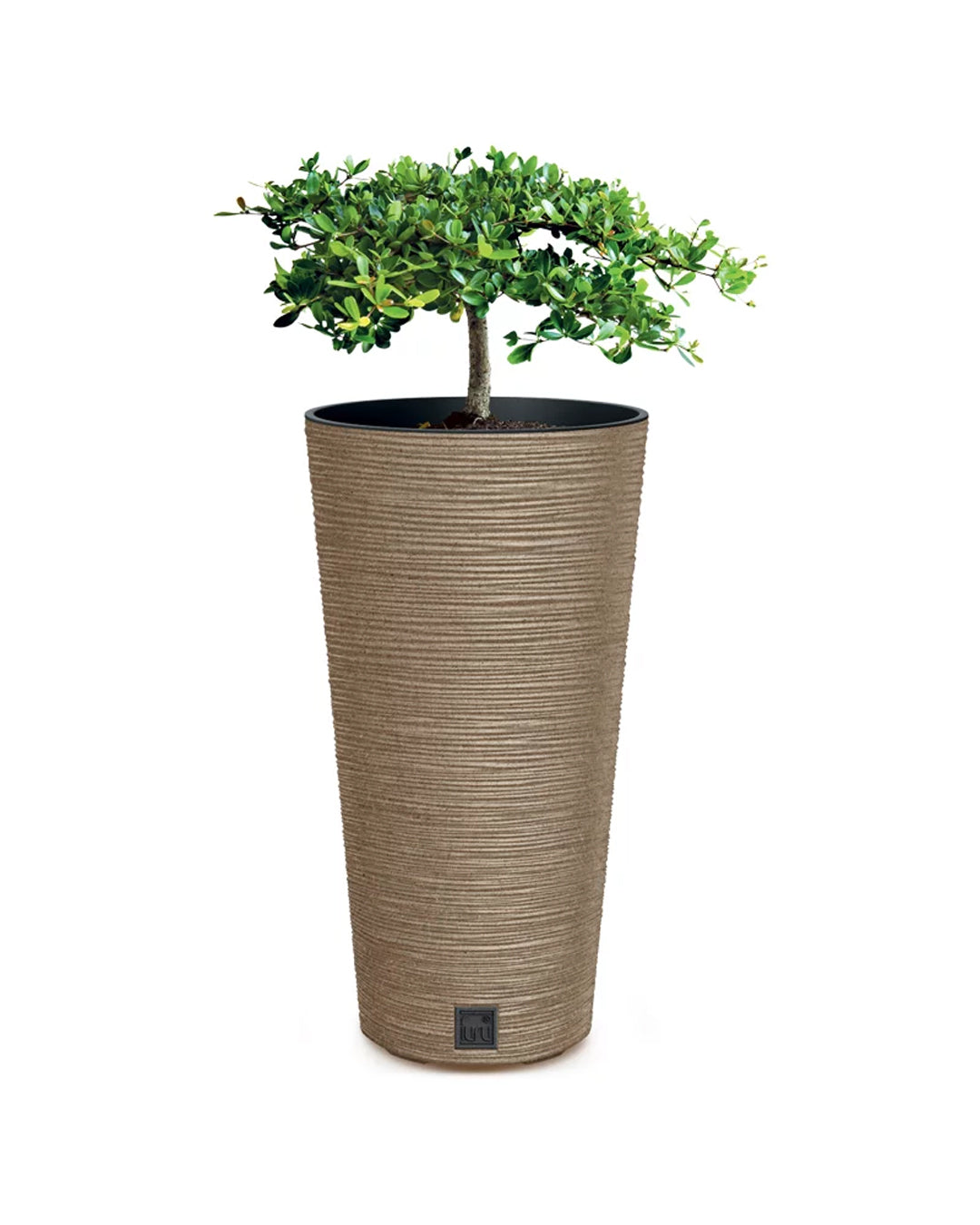 Furu Ahşap Katkılı Sütun Plastik Saksı Açık Kahverengi