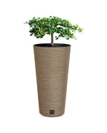 Furu Slim Sütun Plastik Saksı Ø30 cm 27 L açık kahverengi ahşap dokulu - balkon ve teras